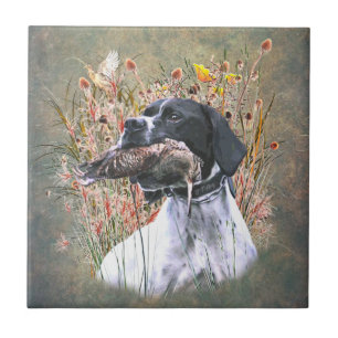 Englischer Pointer Fliese