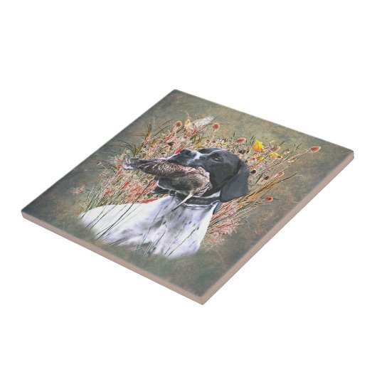 Englischer Pointer Fliese (Seite)