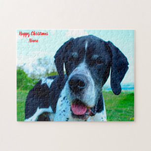Englischer Pointer Hund. Puzzle