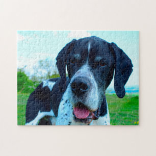Englischer Pointer Hund. Puzzle