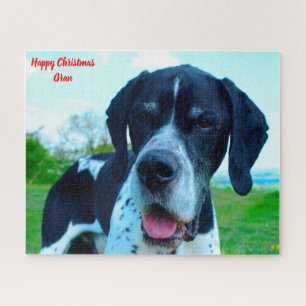 Englischer Pointer Hund. Puzzle