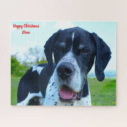 Englischer Pointer Hund. Puzzle (Horizontal)