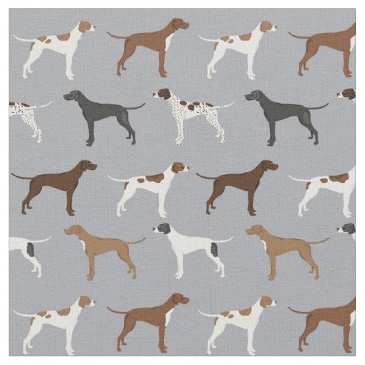 Englischer Pointer Hund Stoff (Nahaufnahme)