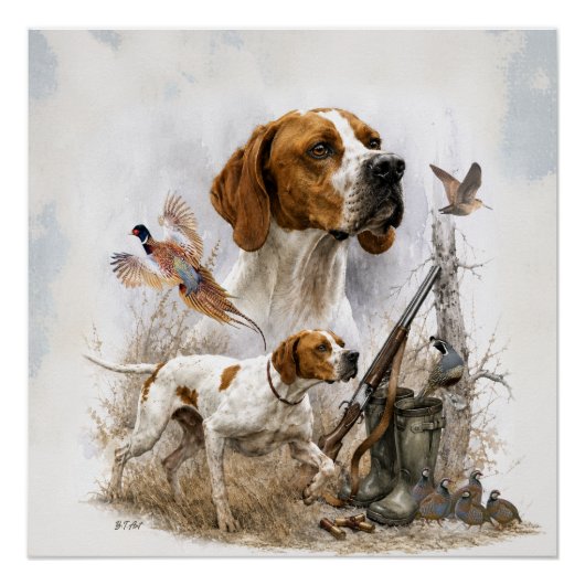 Englischer Pointer Poster (Vorderseite)