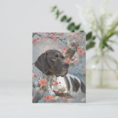 Englischer Pointer Postkarte (Stehend Vorderseite)