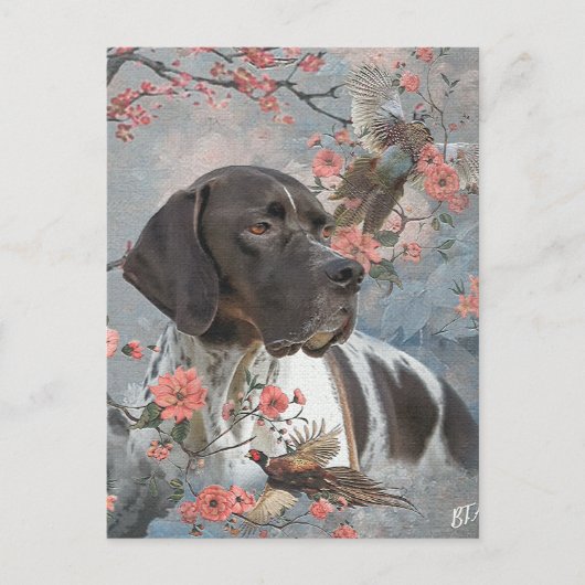 Englischer Pointer Postkarte (Vorderseite)