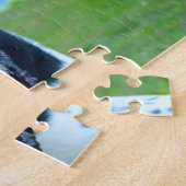 Englischer Pointer. Puzzle (Seite)