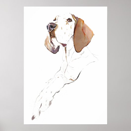 Englischer Pointer Wandkunst Poster, Hunde Kunst D Poster (Vorne)