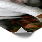 englischer Poster-Druck Poster (Ecke)