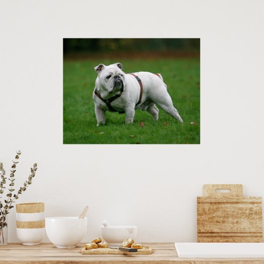 englischer Poster-Druck Poster (Küche)