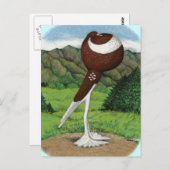 Englischer Pouter: Rot mit Bergen Postkarte (Vorne/Hinten)