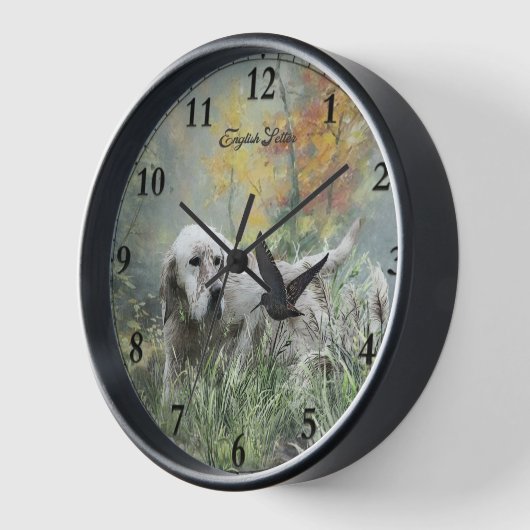 Englischer Setter , Jagdsaison für Holzhacken , Ar Uhr (Winkel)