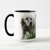 Englischer Setter, Jagdsaison Tasse (Links)