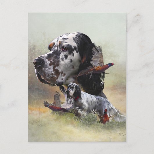 Englischer Setter mit Fasan, Kunst Postkarte (Vorderseite)