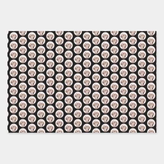 Englischer Setter Orange Belton Malerei Dog Art Geschenkpapier Set (Vorderseite 3)