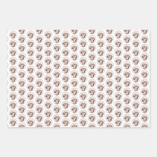 Englischer Setter Orange Belton Malerei Dog Art Geschenkpapier Set (Vorderseite 2)