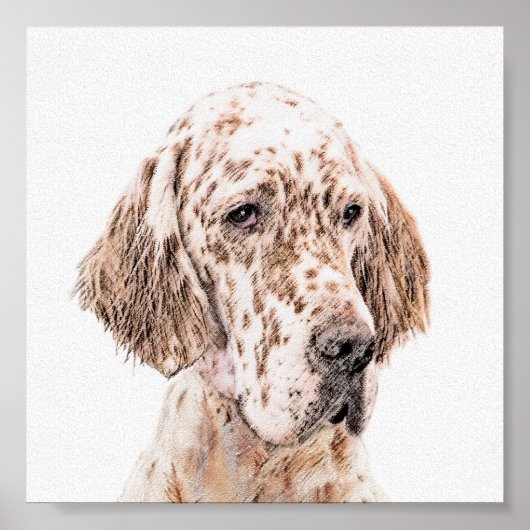 Englischer Setter Orange Belton Malerei Dog Art Poster (Vorne)