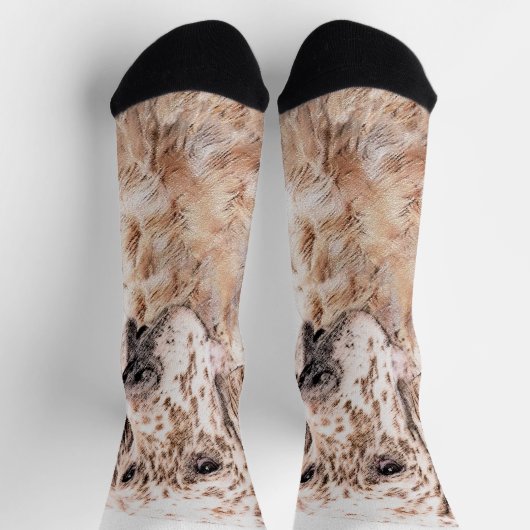 Englischer Setter Orange Belton Malerei Dog Art Socken (Oben)