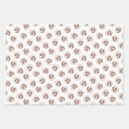 Englischer Setter Orange Belton Malerei Haustier H Geschenkpapier Set (Vorderseite 2)