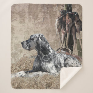 Englischer Setter, Pheasant Jägertester Poster Sherpadecke