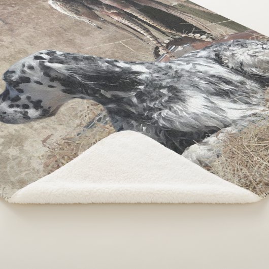 Englischer Setter, Pheasant Jägertester Poster Sherpadecke (3/4)