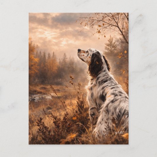 Englischer Setter Postkarte (Vorderseite)