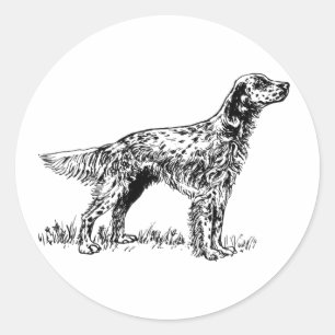 englischer Setter Runder Aufkleber