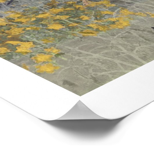 Englischer Setter, Vogeljagd Poster (Ecke)