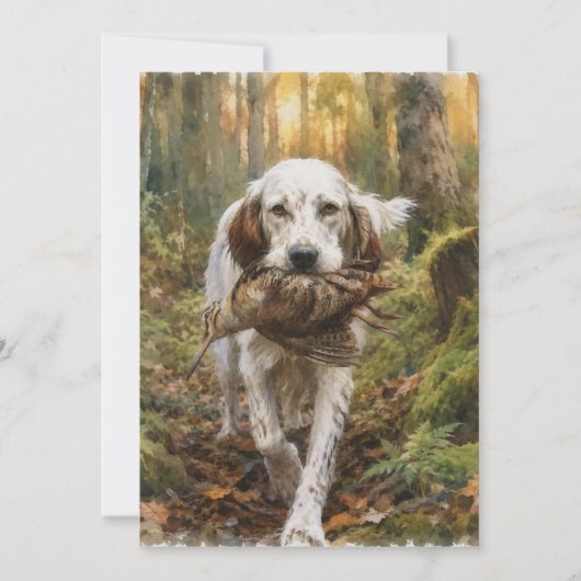 Englischer Setter, Waldschnepfenjagd Einladung (Vorderseite)