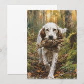 Englischer Setter, Waldschnepfenjagd Einladung (Vorne/Hinten)