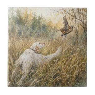 Englischer Setter, Waldschnepfenjagd Fliese