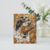 Englischer Setter, Waldschnepfenjagd Postkarte (Stehend Vorderseite)