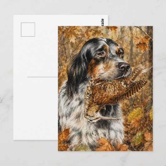 Englischer Setter, Waldschnepfenjagd Postkarte (Vorne/Hinten)