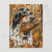 Englischer Setter, Waldschnepfenjagd Postkarte (Vorderseite)