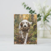 Englischer Setter, Waldschnepfenjagd Postkarte (Stehend Vorderseite)