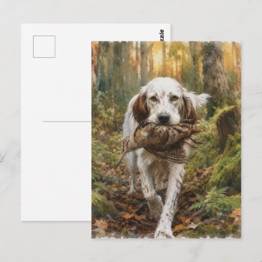 Englischer Setter, Waldschnepfenjagd Postkarte (Vorne/Hinten)