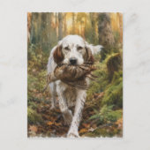 Englischer Setter, Waldschnepfenjagd Postkarte (Vorderseite)