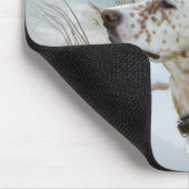 Englischer Setzer jagt Mousepad (Ecke)