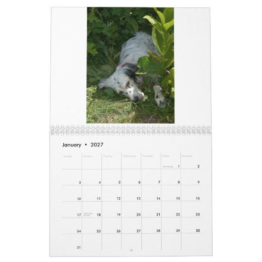 englischer Setzer Kalender (Jan 2027)