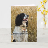 englischer Spaniel Bwlove w pic Karte (Gelbe Blume)