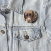 Englischer Springer Button (Beispiel)