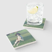 englischer Springer, der ball.png fängt Steinuntersetzer (Seitenansicht)