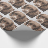 Englischer Springer Geschenkpapier (Ecke)
