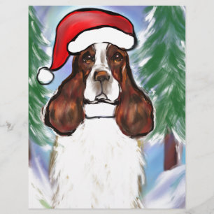 ENGLISCHER SPRINGER SPANIEL
