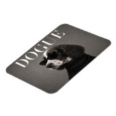 Englischer Springer Spaniel Editorial Hundeporträt Magnet (Linke Seite)