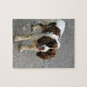 englischer Springer Spaniel full.png Puzzle (Horizontal)