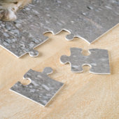 englischer Springer Spaniel full.png Puzzle (Seite)