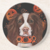 Englischer Springer Spaniel Getränkeuntersetzer (Vorne)
