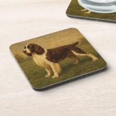 Englischer Springer Spaniel Getränkeuntersetzer (Linke Seite)