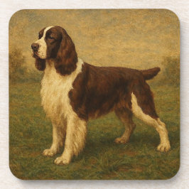 Englischer Springer Spaniel Getränkeuntersetzer